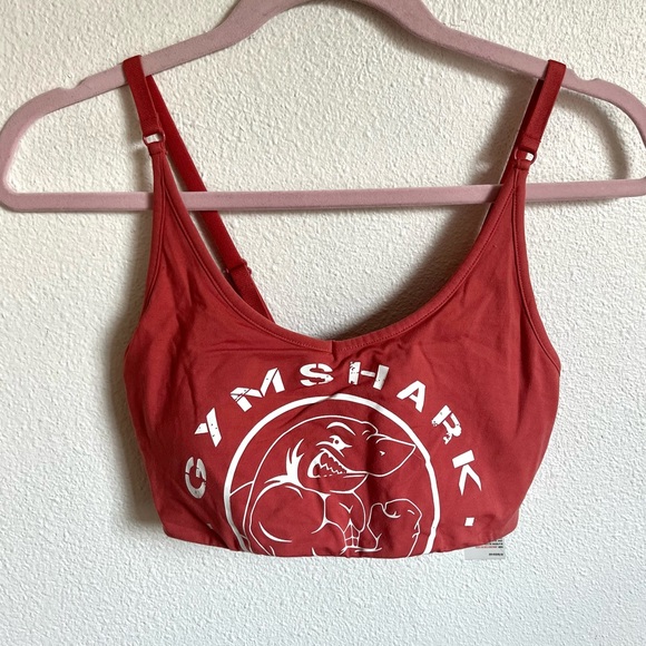 Gymshark Other - Gymshark / brick red legacy bra RARE